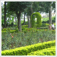 Garden at the Krishnagiri Dam