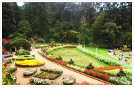 Ooty